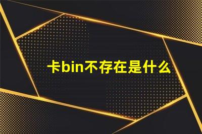卡bin不存在是什么意思 電腦中bin是什么意思